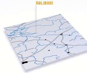 3d view of Naliboki