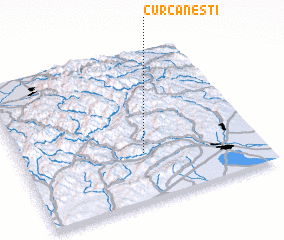 3d view of Curcăneşti