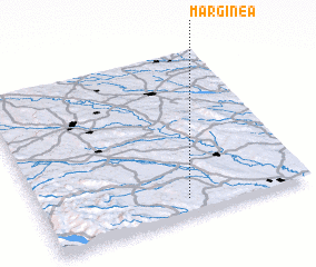 3d view of Marginea