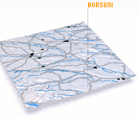 3d view of Borşeni