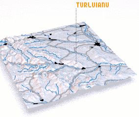3d view of Turluianu