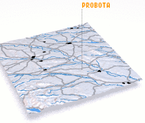 3d view of Probota