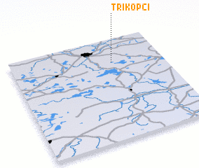 3d view of Trikopci