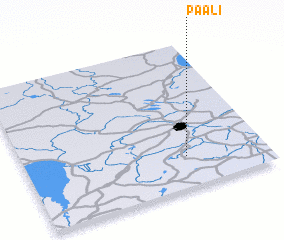 3d view of Paali