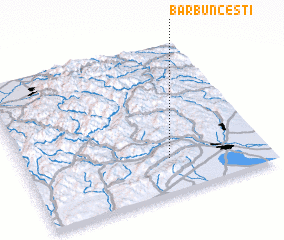 3d view of Bărbunceşti