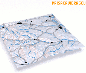 3d view of Prisaca Vidraşcu