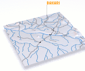 3d view of Bakari