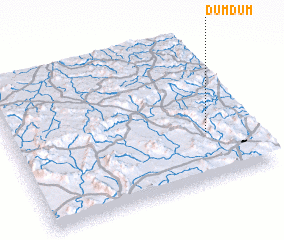 3d view of Dumdum