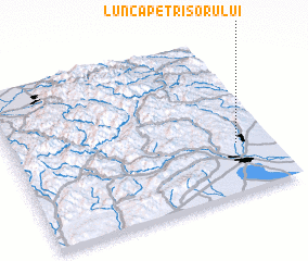 3d view of Lunca Petrişorului