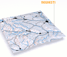 3d view of Negoeşti