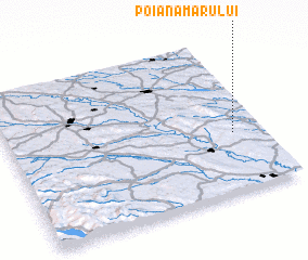 3d view of Poiana Mărului