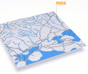 3d view of Mana