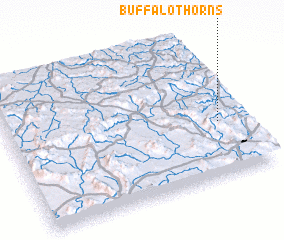 3d view of Buffalo Thorns