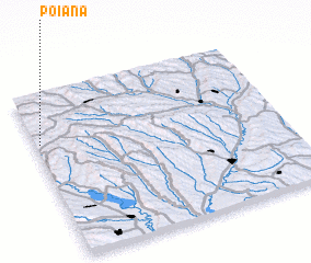 3d view of Poiana