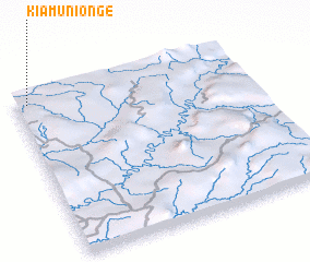 3d view of Kiamunionge