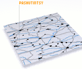 3d view of Pashutintsy