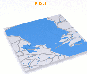 3d view of Viisli