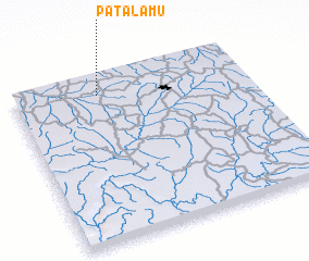 3d view of Patalamu