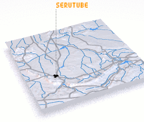 3d view of Serutube