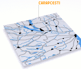 3d view of Cărăpceşti