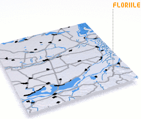 3d view of Floriile