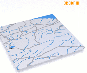 3d view of Brodniki