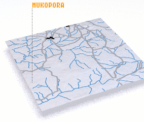 3d view of Mukopora