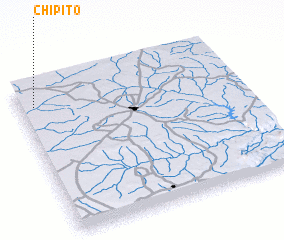 3d view of Chipito