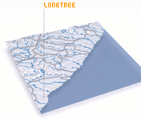 3d view of Lone Tree
