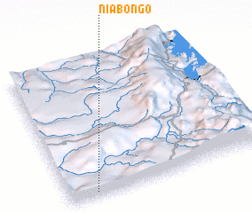 3d view of Niabongo