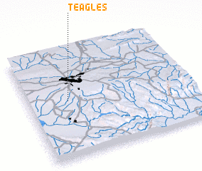 3d view of Teagles