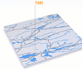 3d view of Tori