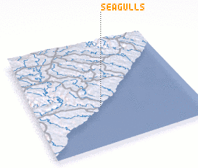 3d view of Seagulls