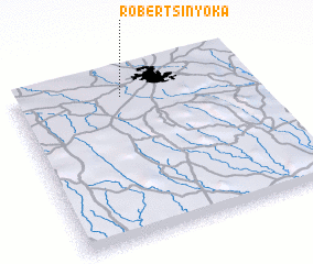 3d view of Robert Sinyoka