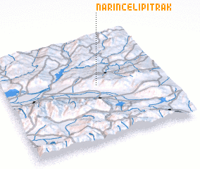 3d view of Narincelipıtrak