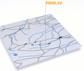 3d view of Pokalev