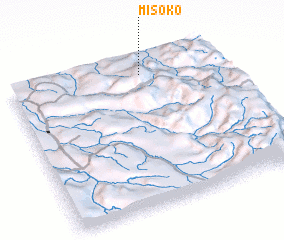 3d view of Misoko