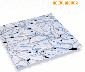 3d view of Neculăieuca