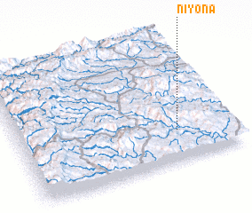 3d view of Niyona