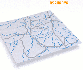 3d view of Nsakanya