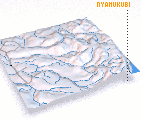 3d view of Nyamukubi