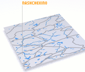 3d view of Nashchëkino