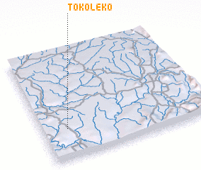 3d view of Tokoleko