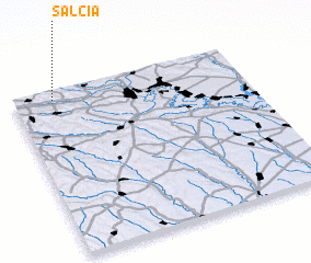 3d view of Salcia