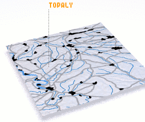 3d view of Topaly