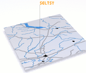 3d view of Selʼtsy