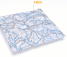 3d view of Tonti