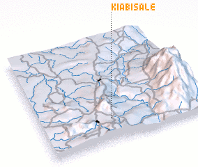 3d view of Kiabisale