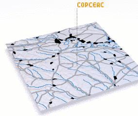 3d view of Copceac