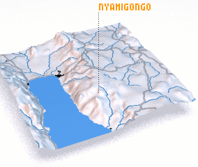 3d view of Nyamigongo